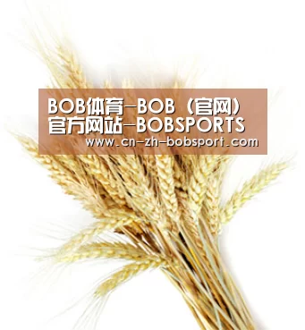 BOB体育-BOB（官网）官方网站-BOBSPORTS