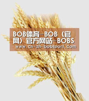 BOB体育-BOB（官网）官方网站-BOBSPORTS