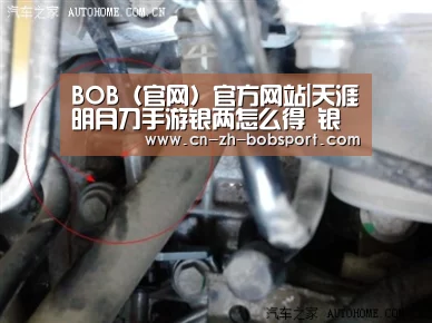 BOB(官网)官方网站|天涯明月刀手游银两怎么得 银两快速获得攻略(图2) BOB体育