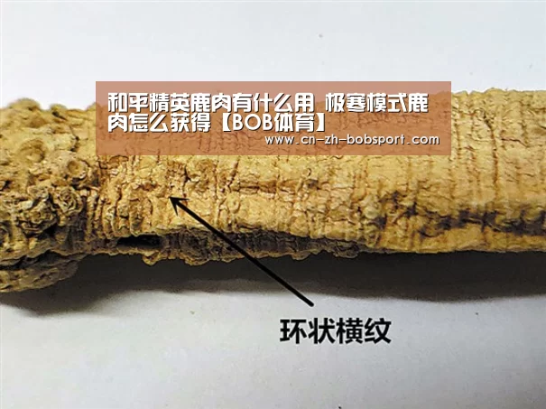 和平精英鹿肉有什么用 极寒模式鹿肉怎么获得【BOB体育】(图1) BOB体育