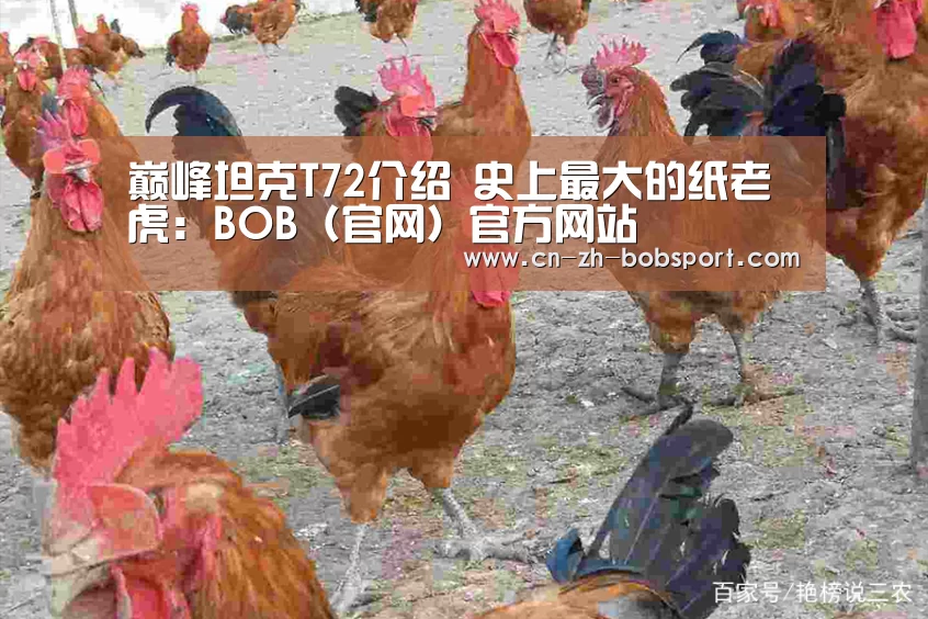 巅峰坦克T72介绍 史上最大的纸老虎:BOB(官网)官方网站(图3) BOB(官网)官方网站
