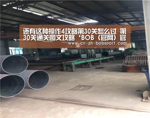 还有这种操作4攻略第30关怎么过 第30关通关图文攻略‘BOB（官网）官方网站’(图2)