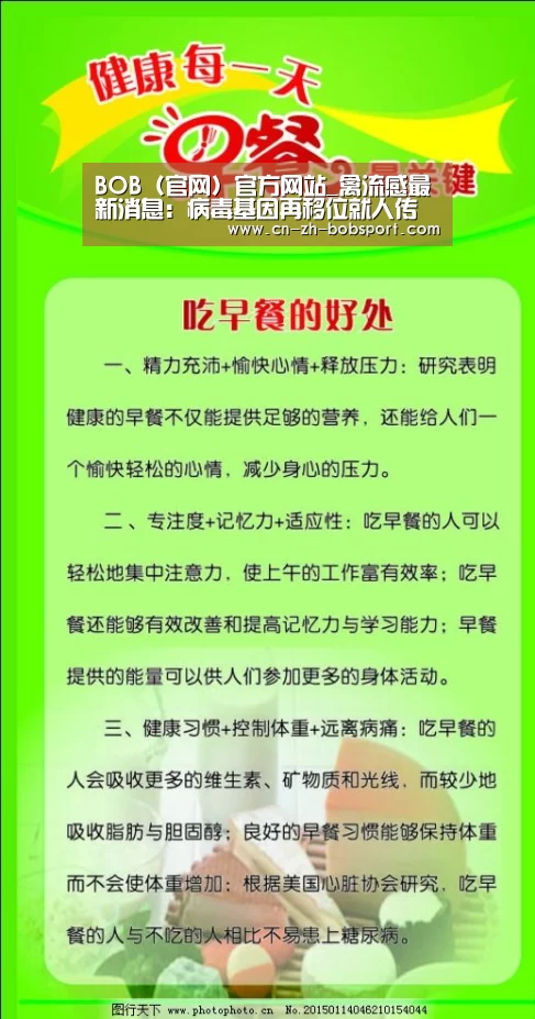 BOB（官网）官方网站