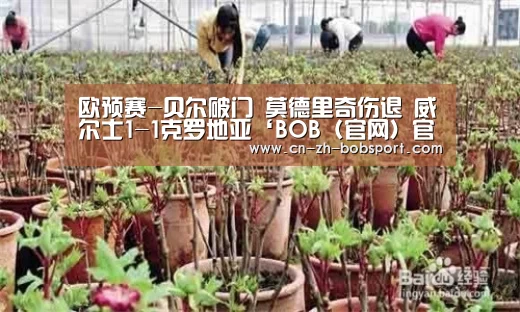 欧预赛-贝尔破门 莫德里奇伤退 威尔士1-1克罗地亚‘BOB(官网)官方网站’(图1) BOB(官网)官方网站