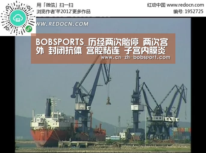 BOBSPORTS_历经两次胎停 两次宫外 封闭抗体 宫腔粘连 子宫内膜炎 三促三移顺利Nt过关(图1) BOB(官网)官方网站