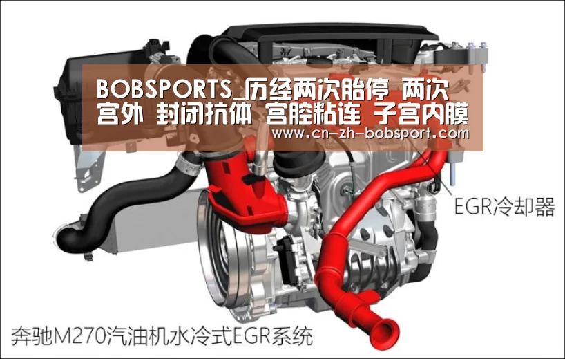 BOBSPORTS_历经两次胎停 两次宫外 封闭抗体 宫腔粘连 子宫内膜炎 三促三移顺利Nt过关(图4) BOBSPORTS_历经两次胎停 两次宫外 封闭抗体 宫腔粘连 子宫内膜炎 三促三移顺利Nt过关(图4)