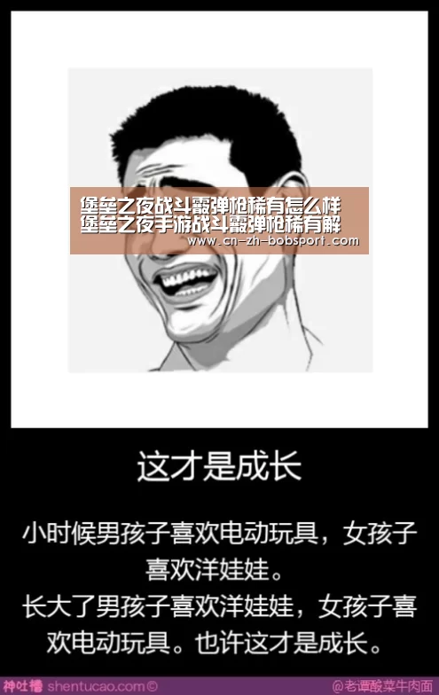 堡垒之夜战斗霰弹枪稀有怎么样 堡垒之夜手游战斗霰弹枪稀有解析-BOB(官网)官方网站(图3) 堡垒之夜战斗霰弹枪稀有怎么样 堡垒之夜手游战斗霰弹枪稀有解析-BOB(官网)官方网站(图3)