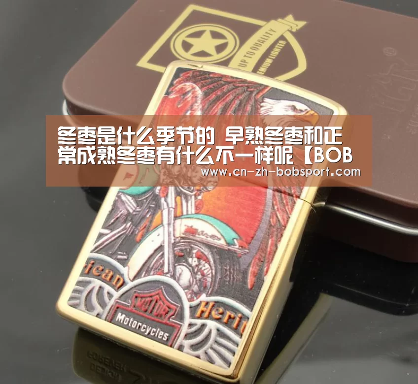 冬枣是什么季节的 早熟冬枣和正常成熟冬枣有什么不一样呢【BOBSPORTS】(图1) 冬枣是什么季节的 早熟冬枣和正常成熟冬枣有什么不一样呢【BOBSPORTS】(图1)