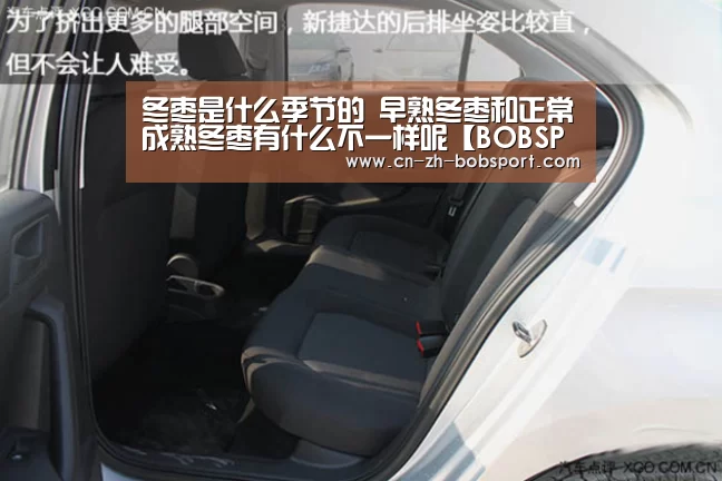 冬枣是什么季节的 早熟冬枣和正常成熟冬枣有什么不一样呢【BOBSPORTS】(图3) BOB(官网)官方网站