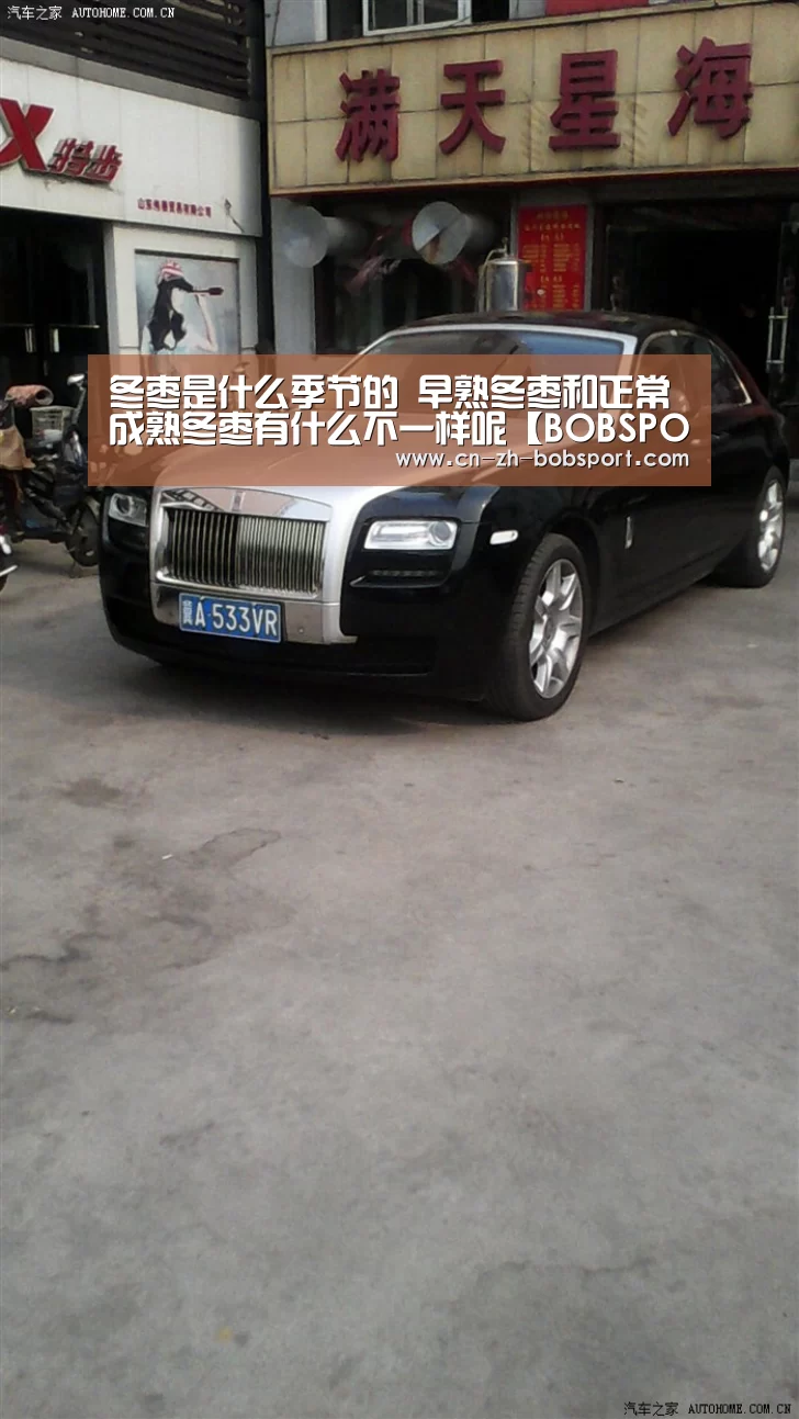 冬枣是什么季节的 早熟冬枣和正常成熟冬枣有什么不一样呢【BOBSPORTS】(图4) BOB体育