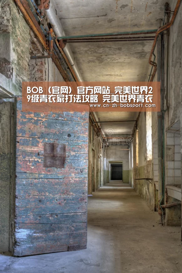 BOB(官网)官方网站_完美世界29级青衣冢打法攻略 完美世界青衣冢快速通过方法(图1) BOB体育